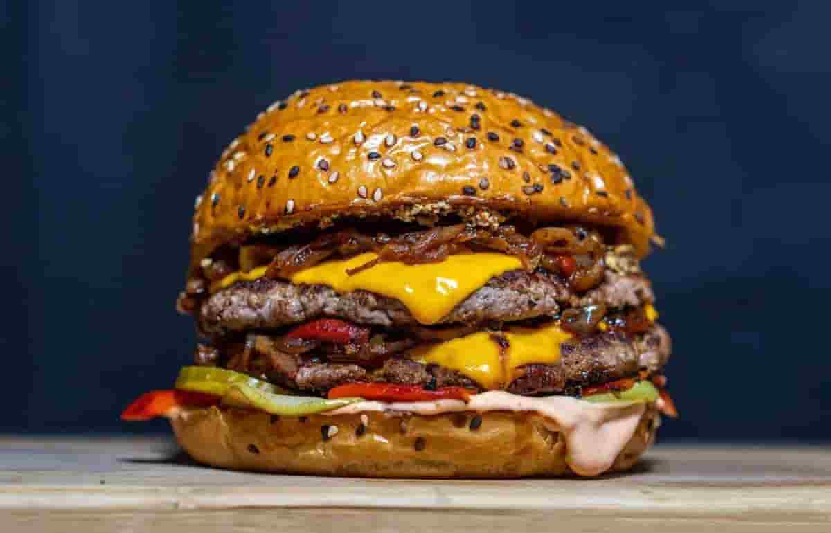 تصویر 3 از خرید و قیمت همبرگر 60 درصد + فروش عمده